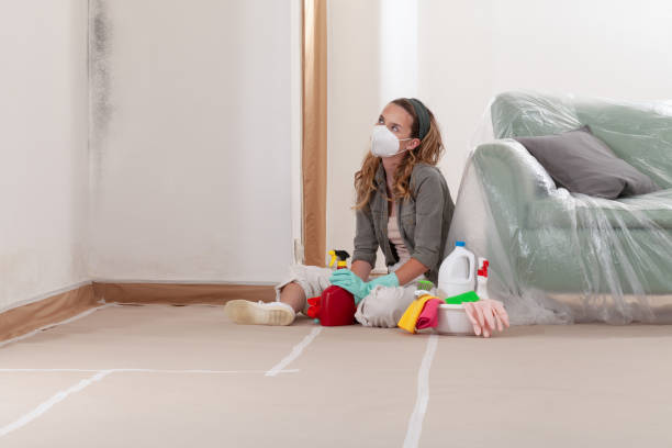 Reliable Black Mold Remediation contractor in Glassboro, NJ by Car Mold Remediation